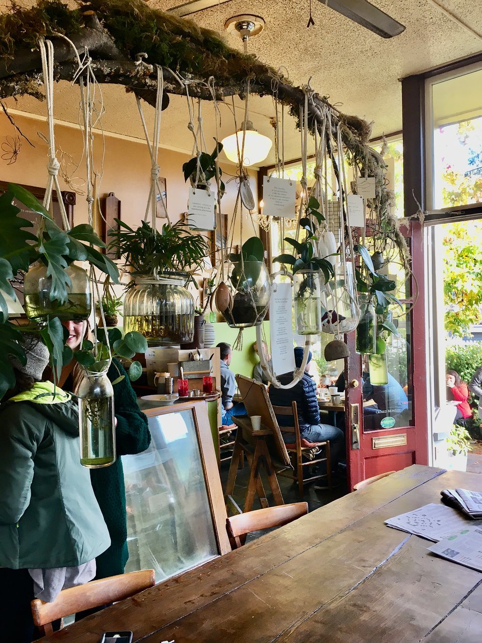 Volunteer Park Cafe